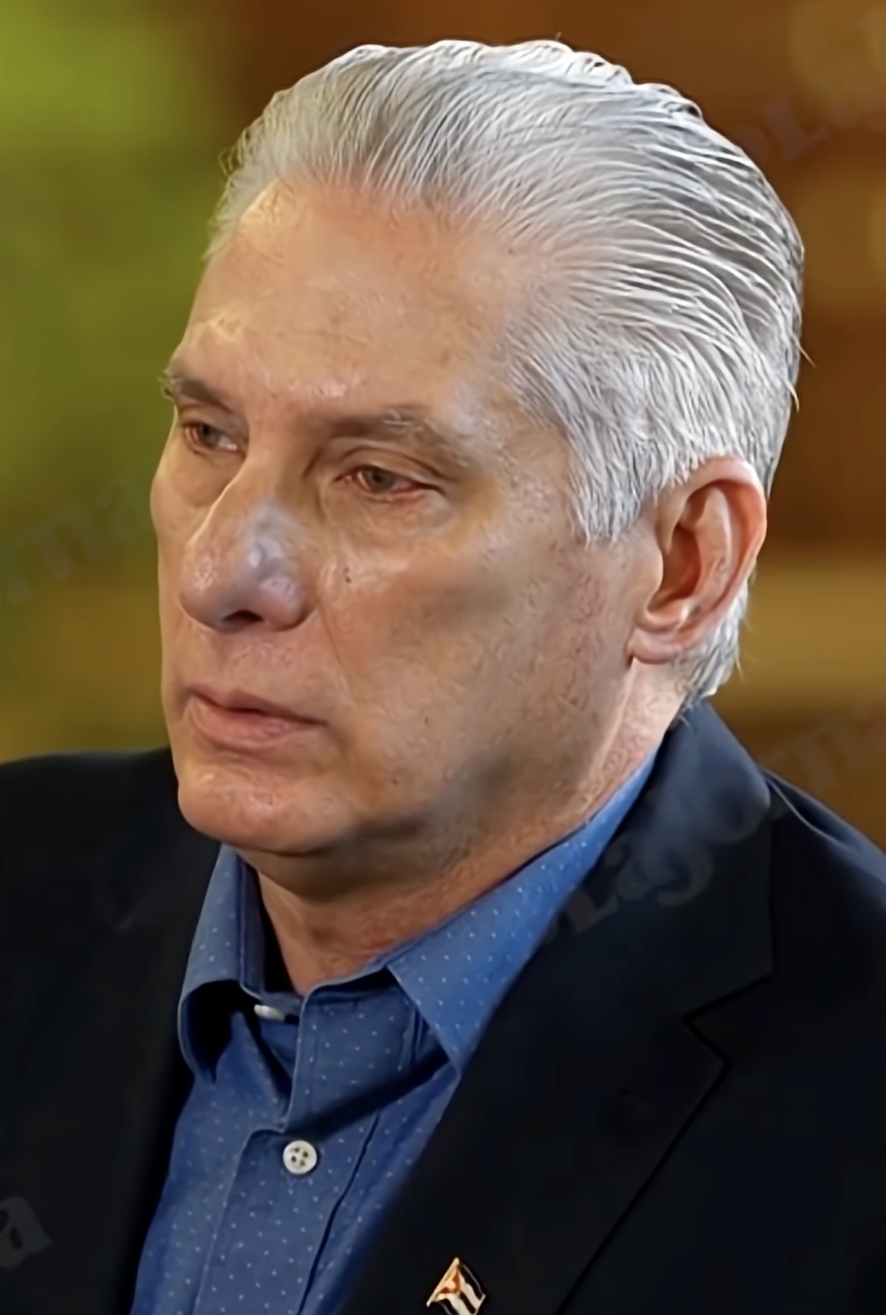 Miguel Díaz-Canel Bermúdez